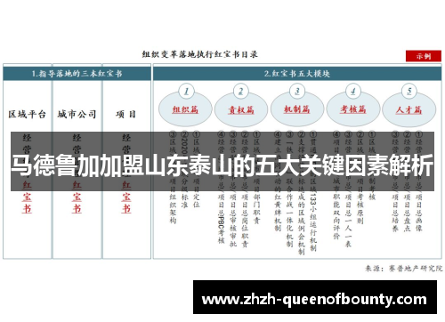 马德鲁加加盟山东泰山的五大关键因素解析 马德鲁加加盟山东泰山的五大关键因素解析